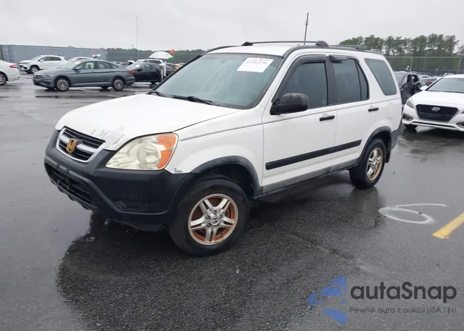 SHSRD68444U206606: 43342196