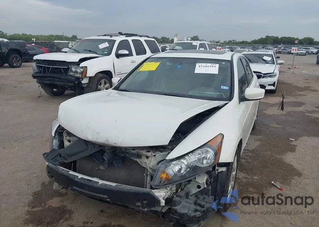 1HGCP36828A085261: 43341293