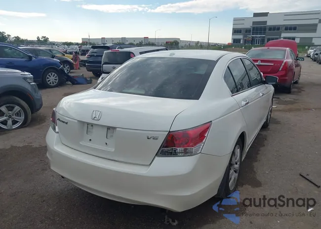 1HGCP36828A085261: 43341293