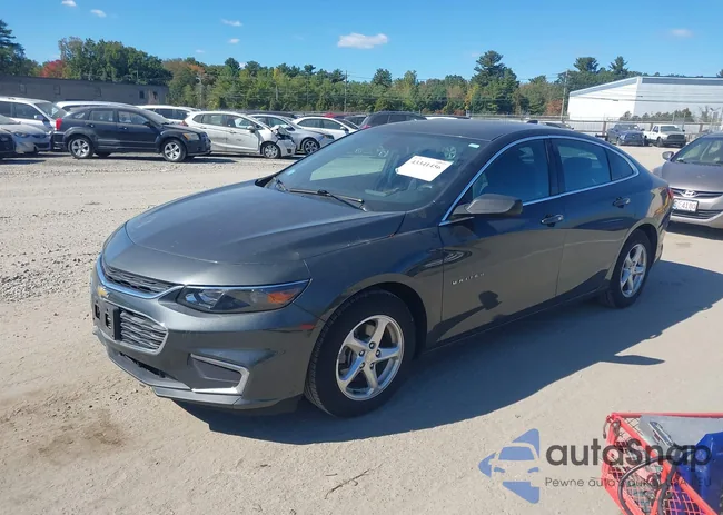 1G1ZB5ST0HF196707: 43341456