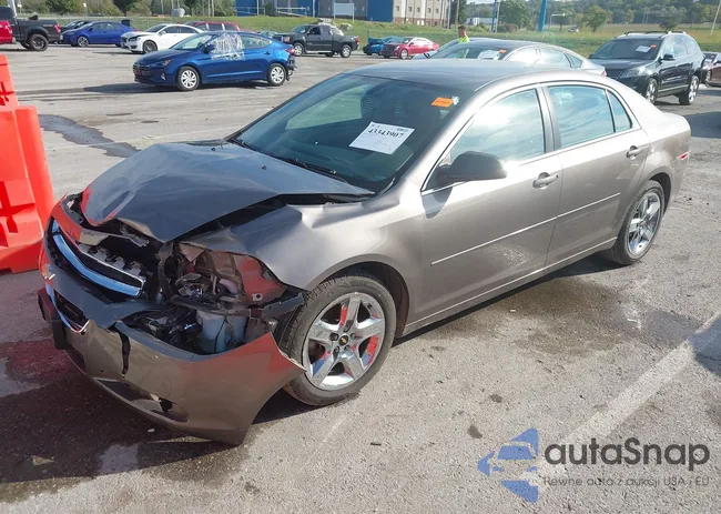 1G1ZB5E08CF341969: 43343907