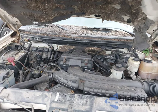 1FTPW14V18FB49194: 43344224