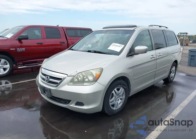 5FNRL38746B010414: 43343317