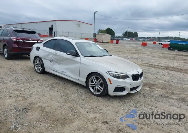 WBA1F9C51GV545097: 43343627