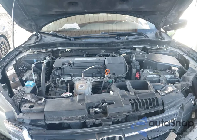 1HGCR2F56EA131955: 43344917