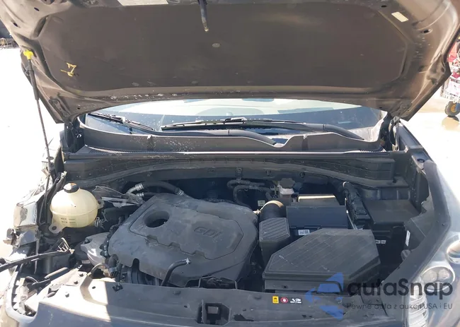 KNDPN3AC5H7240299: 43344619