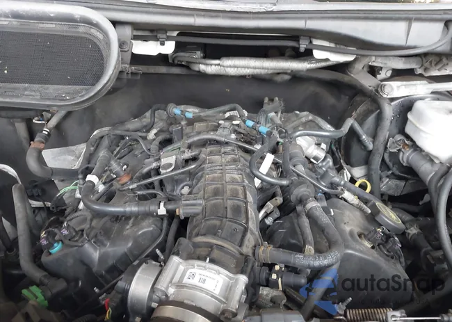 1FBZX2ZG7GKA41436: 43346163