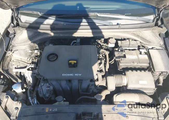 5NPD84LF2JH381257: 43346801