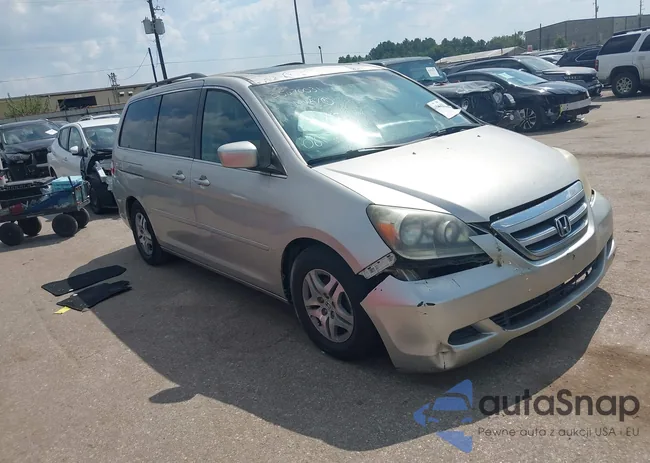 5FNRL38766B019504: 43346410