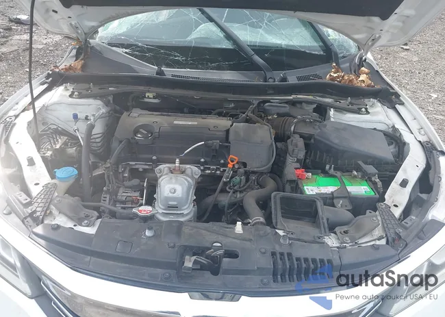 1HGCR2F16HA196502: 43346513