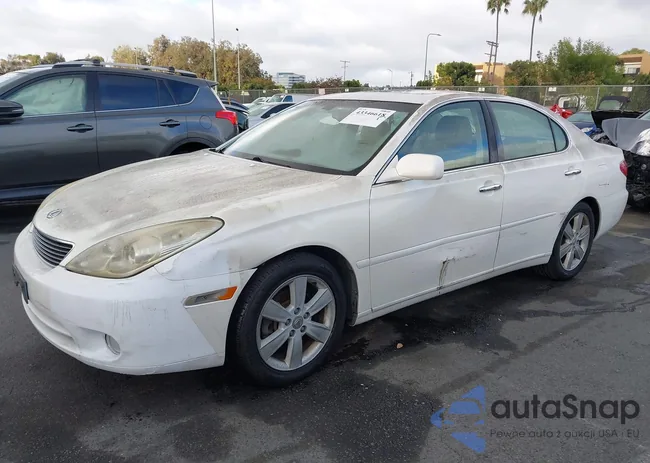 JTHBA30G065154626: 43346618