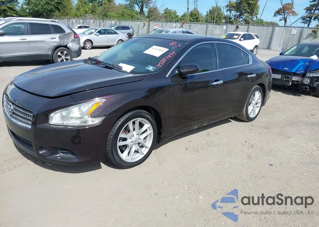 1N4AA5AP6BC813151: 43347844