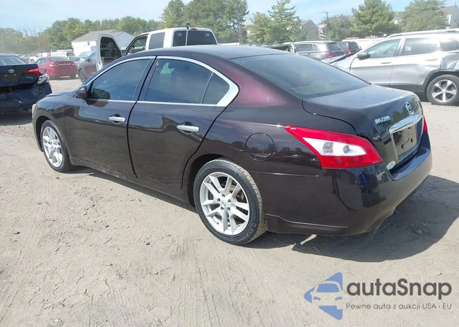 1N4AA5AP6BC813151: 43347844