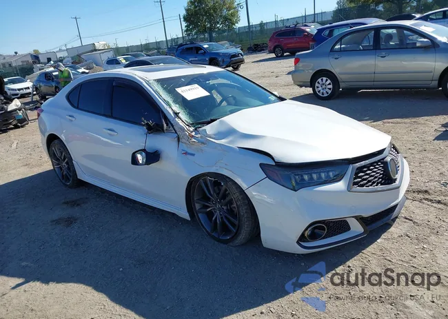 19UUB3F66KA003444: 43349919