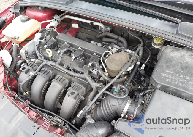 1FADP3K29GL240949: 43349382