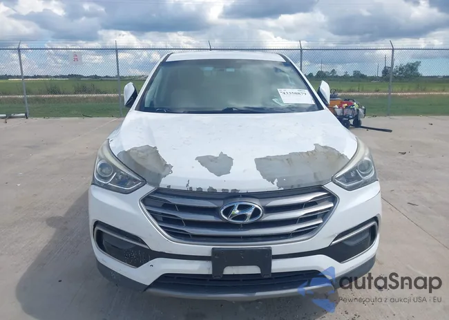 5NMZTDLB7HH004576: 43350879