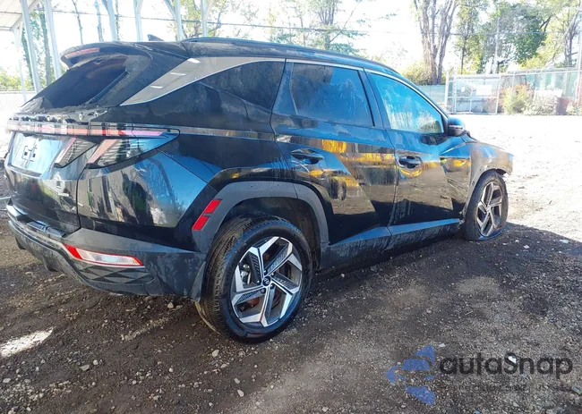 5NMJFCAE8PH265418: 43352870