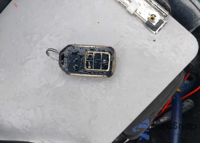 2HGFC2F87MH521861: 43352961