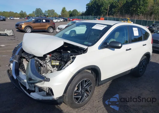 5J6RM4H4XGL116058: 43353899