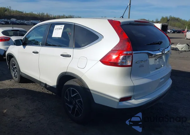 5J6RM4H4XGL116058: 43353899