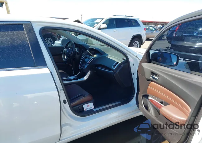 19UUB2F79FA007741: 43353933