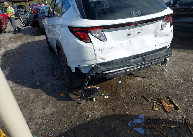 5NMJBCDE4SH559690: 43355008