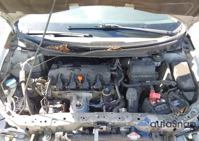 2HGFB2F53FH533470: 43355141