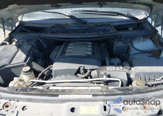 SALMF15436A223274: 43355169