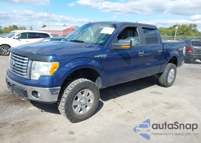 1FTFW1EF0BFA61053: 43355916