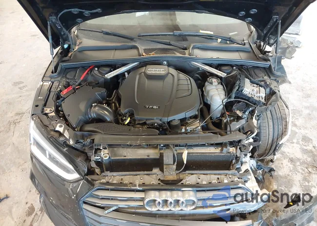 WAUENCF58KA079164: 43356456