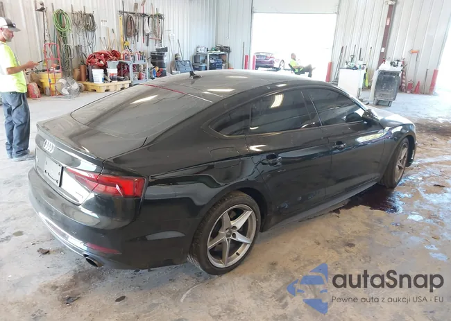 WAUENCF58KA079164: 43356456