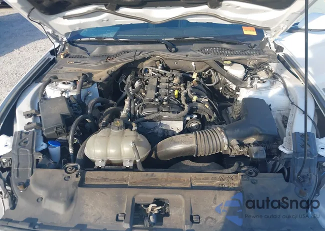 1FATP8UH4P5105036: 43357689