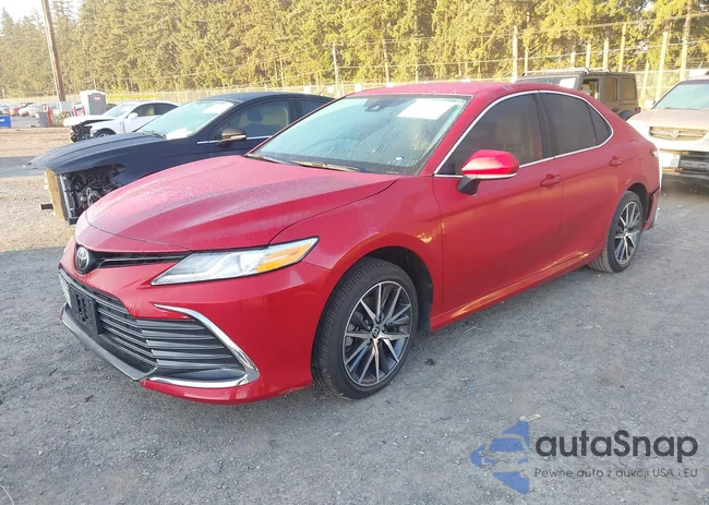 4T1F11AK3PU183390: 43359167