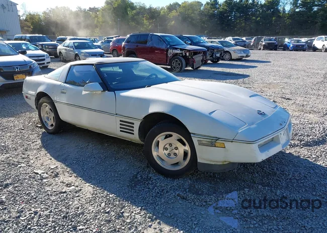 1G1YY2184J5122059: 43358304