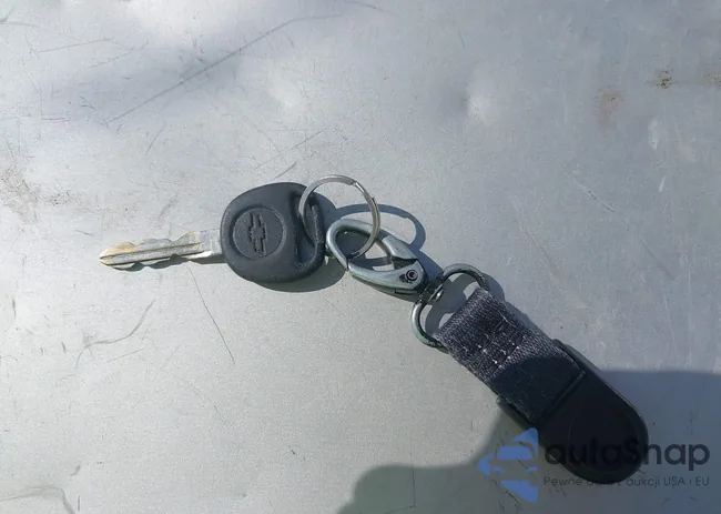 2GCEC13V961339833: 43360123