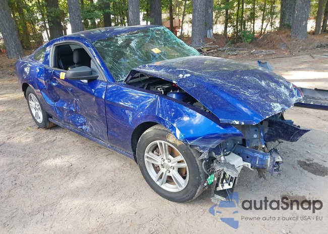 1ZVBP8AM2D5258885: 43360224