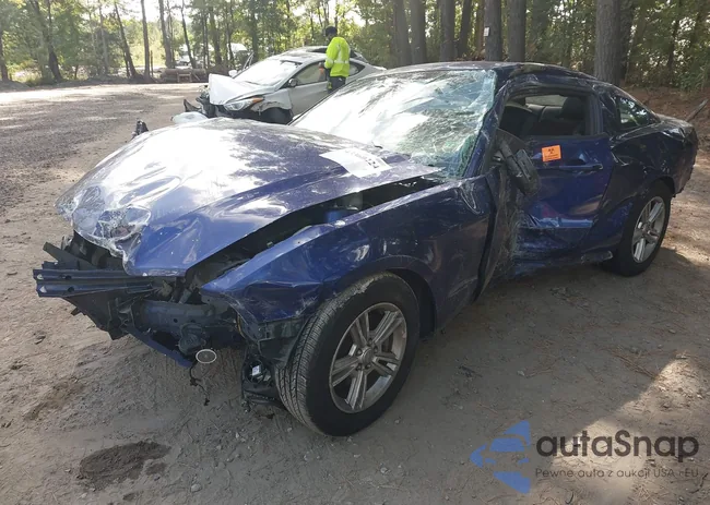 1ZVBP8AM2D5258885: 43360224