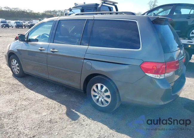 5FNRL38698B066732: 43359643