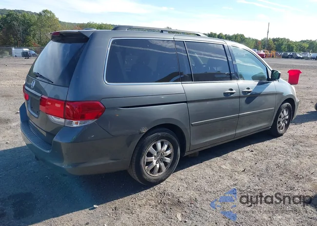 5FNRL38698B066732: 43359643