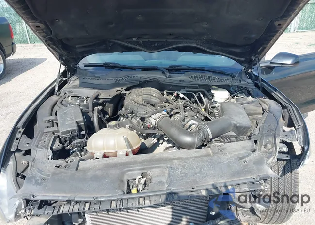 1FA6P8AM7G5273624: 43361053