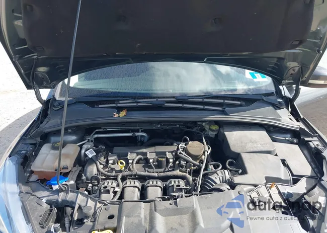 1FADP3F25GL292279: 43360295