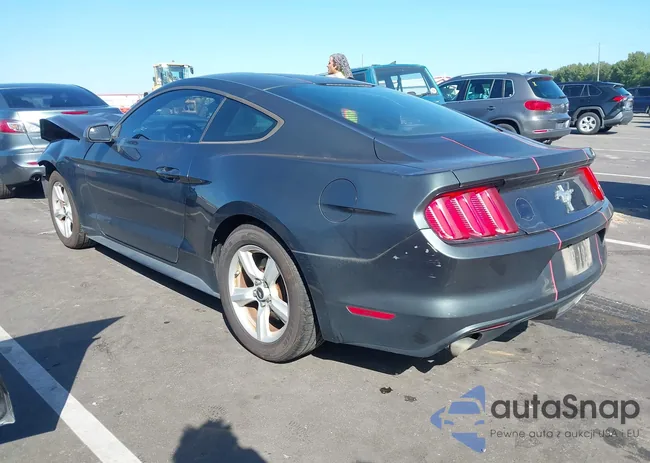 1FA6P8AM4F5399793: 43361727