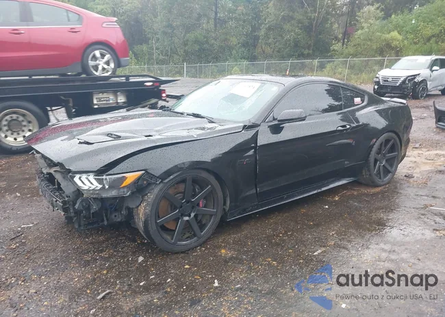 1FA6P8CF5F5393869: 43362024