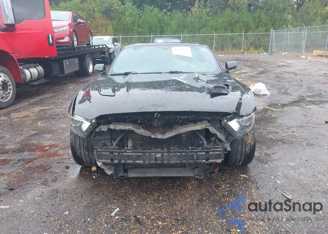 1FA6P8CF5F5393869: 43362024