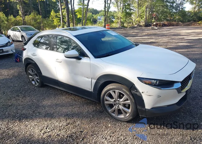 3MVDMBDM6PM563039: 43361619