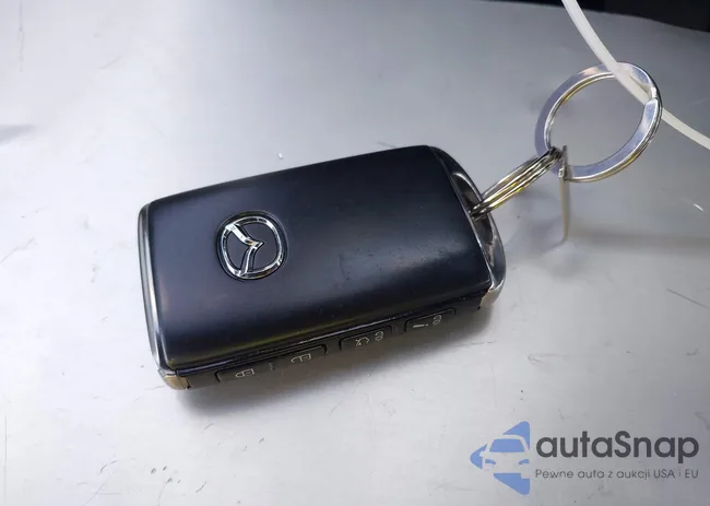 JM1BPABM1S1784163: 43362411