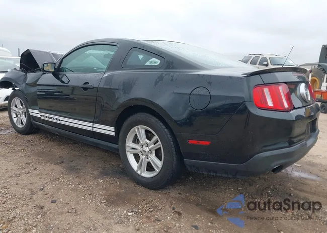 1ZVBP8AM2C5251112: 43363459