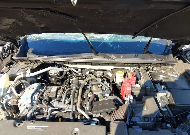 3N1AB8DV7RY316519: 43364812