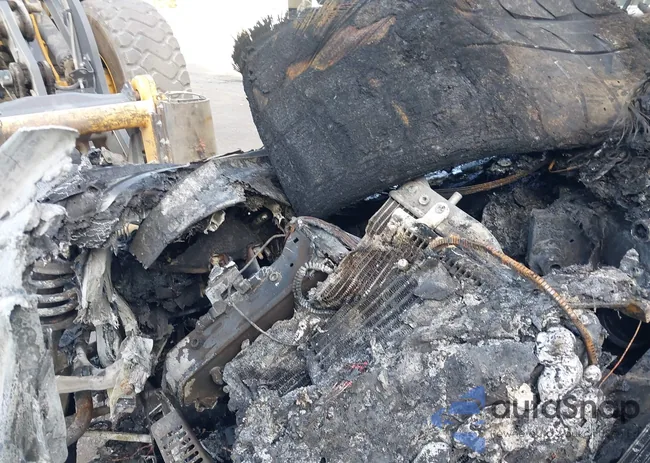 WUAANAFG7BN000196: 43365204