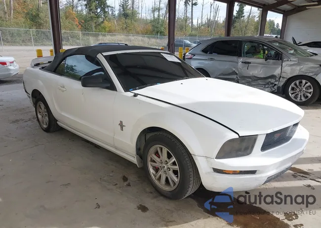 1ZVFT84N075196263: 43364373